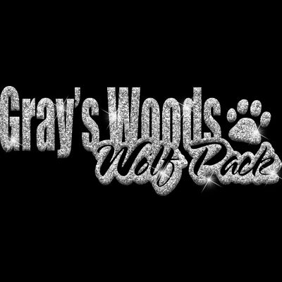 GLT1 SILVER GLITTER Thumbnail